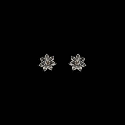 Pendientes Enigma de plata Arcana