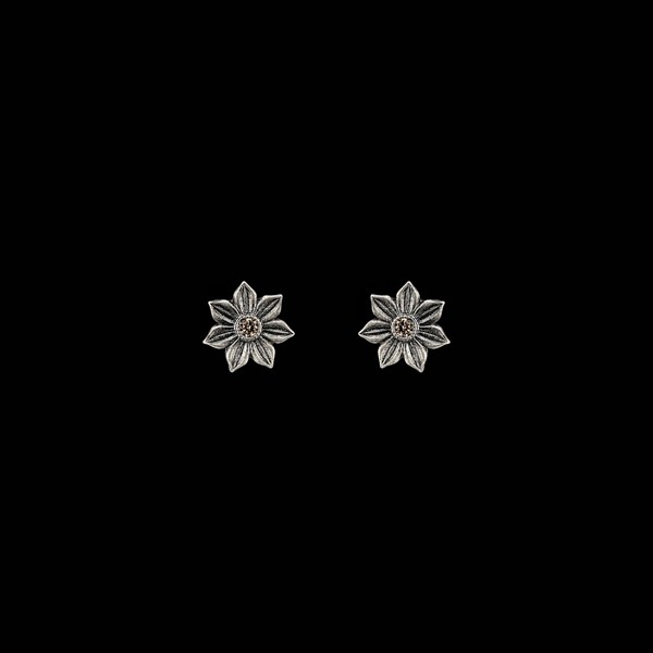 Pendientes Enigma de plata Arcana Pendientes Enigma de plata Arcana
